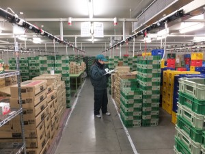 仕分けスタッフ（食品）／マイカー通勤OK＆有給初日付与