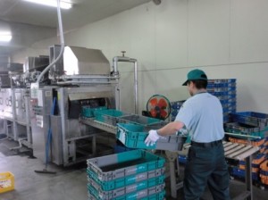 全自動洗浄機を使った洗浄作業／18:00～勤務